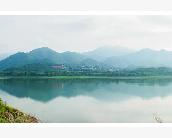 冰糖的神奇功效：治咳嗽化痰的中医智慧